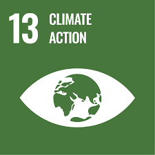 October – SDG 13-Progress-Curiosity